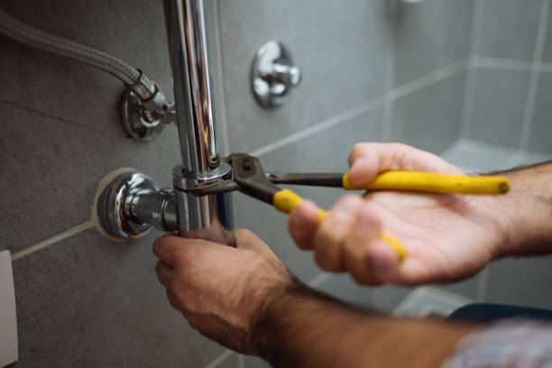 Best Plumbing Installation Services  in Ina, IL